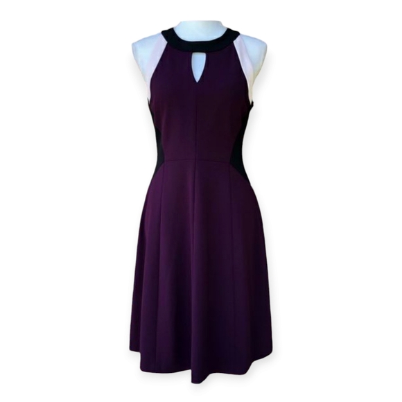 Tommy Hilfiger Dresses & Skirts - Tommy Hilfiger A-Line Style Midi. Plum  with Gold Zipper Back